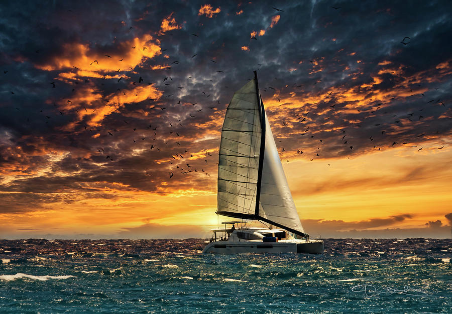 Catamaran Sailboat In Sunset Photograph by Dan Barba