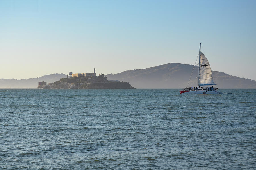 Catamaran Sailing by Alcatraz Island San Francisco Photograph by Shawn OBrien