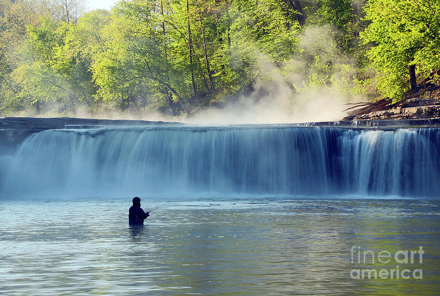 are dogs allowed at cataract falls indiana