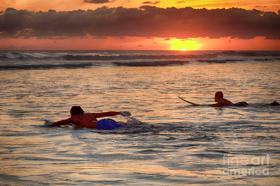 Sports Photograph - Catching A Sunset Wave by Bob Christopher