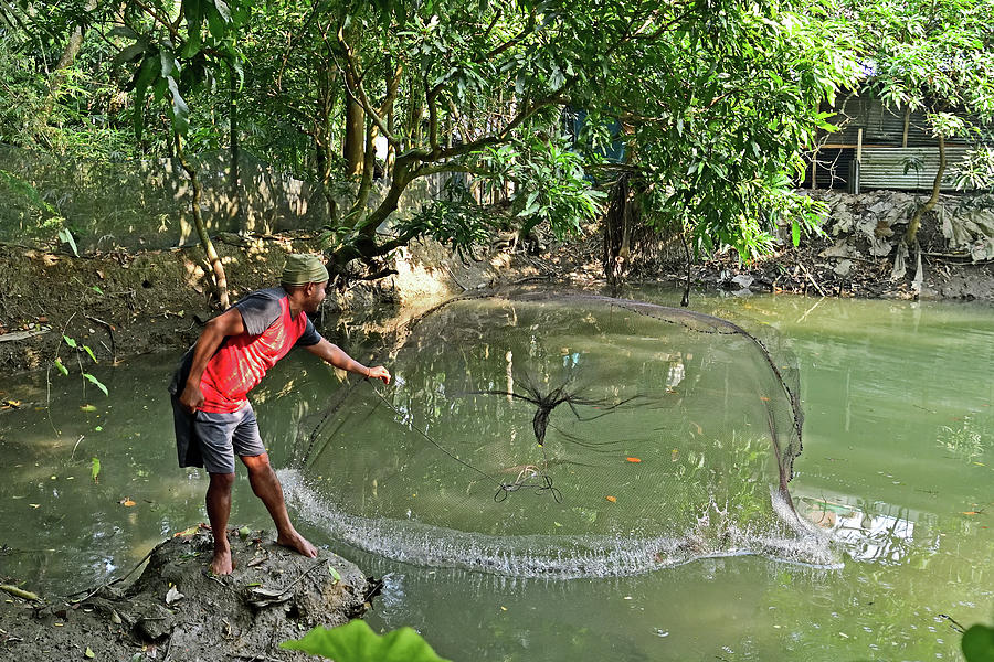 Catching Fish with Circular Net Photograph by Amazing Action Photo Video