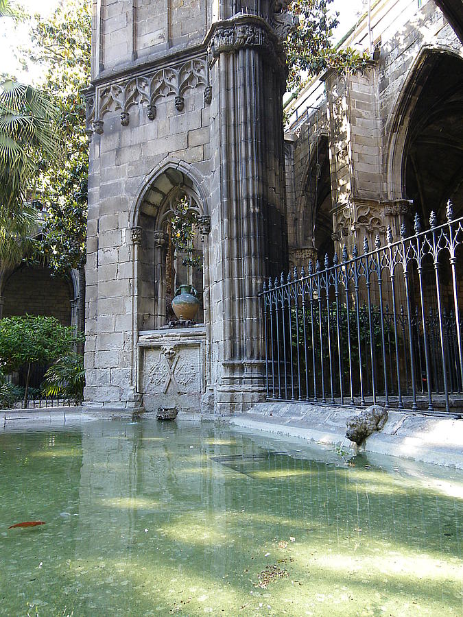Catedral de Barcelona Photograph by Lisa Mutch