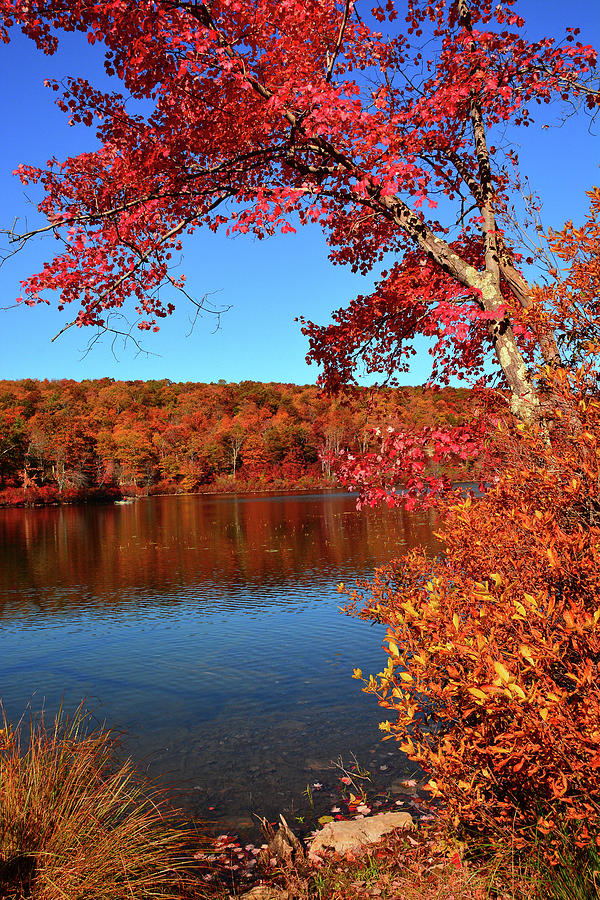 Catfish Lake Along the NJ Appalachian Trail with Kayaker Photograph by Raymond Salani III