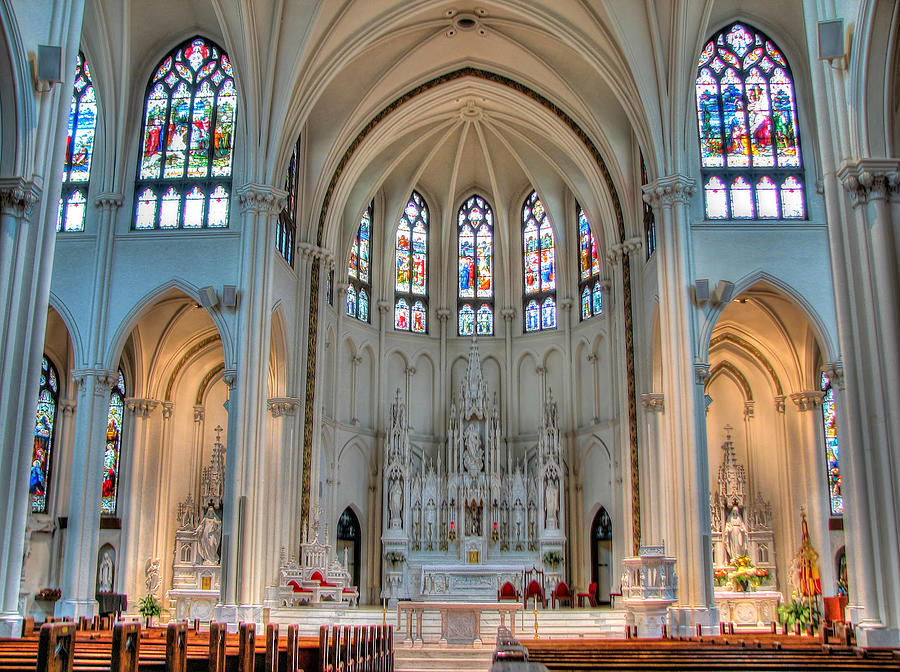 Cathedral Basilica of the Immaculate Conception Photograph by Francesco Dazzi
