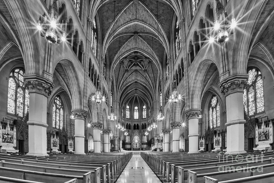 Cathedral Basilica of the Sacred Heart 1 bw Photograph by Jerry Fornarotto