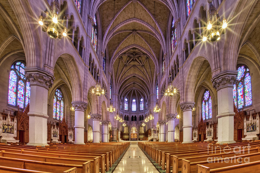 Cathedral Basilica of the Sacred Heart 1 Photograph by Jerry Fornarotto