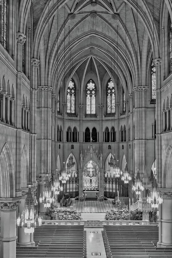 Cathedral Basilica of the Sacred Heart 2 bw Photograph by Jerry Fornarotto