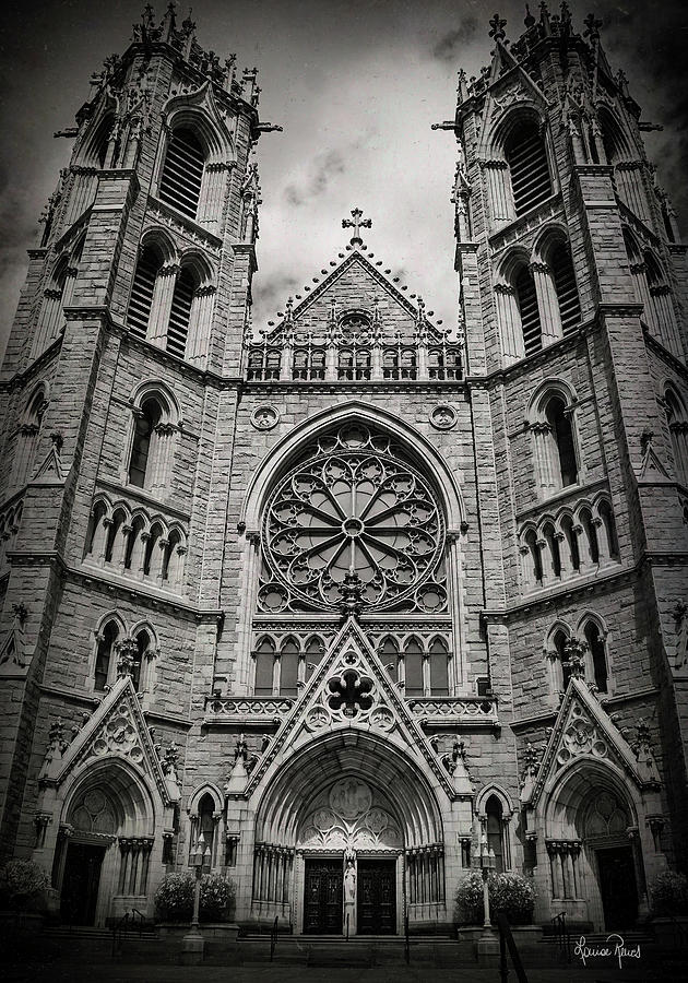 Cathedral Basilica of the Sacred Heart 2 Photograph by Louise Reeves