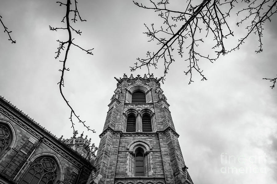 Cathedral Basilica Of The Sacred Heart - Abstract Tower Bw Photograph