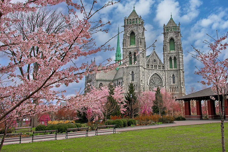 Cathedral Basilica of the Sacred Heart Photograph by Anthony Sacco Cathedral Basilica of the Sacred Heart Photograph by Anthony Sacco