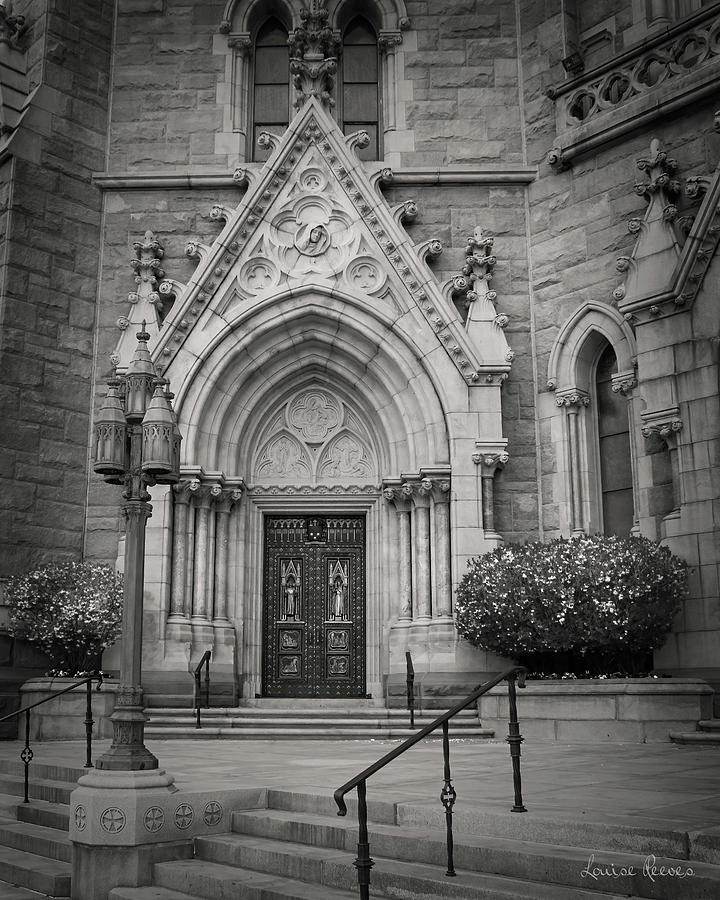 Cathedral Basilica of the Sacred Heart 3 Photograph by Louise Reeves