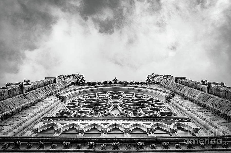 Cathedral Basilica Of The Sacred Heart - Stained Glass Abstract Bw Photograph