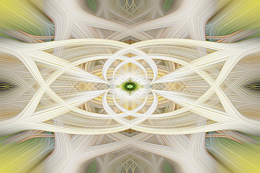 Cathedral Ceiling Abstract 1 Digital Art by Teresa Wilson
