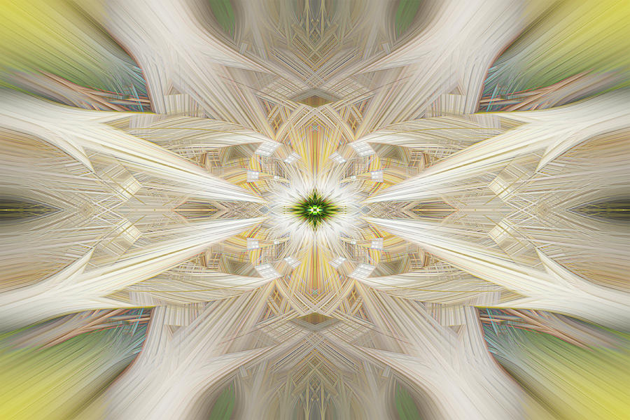 Cathedral Ceiling Abstract 3 Digital Art by Teresa Wilson
