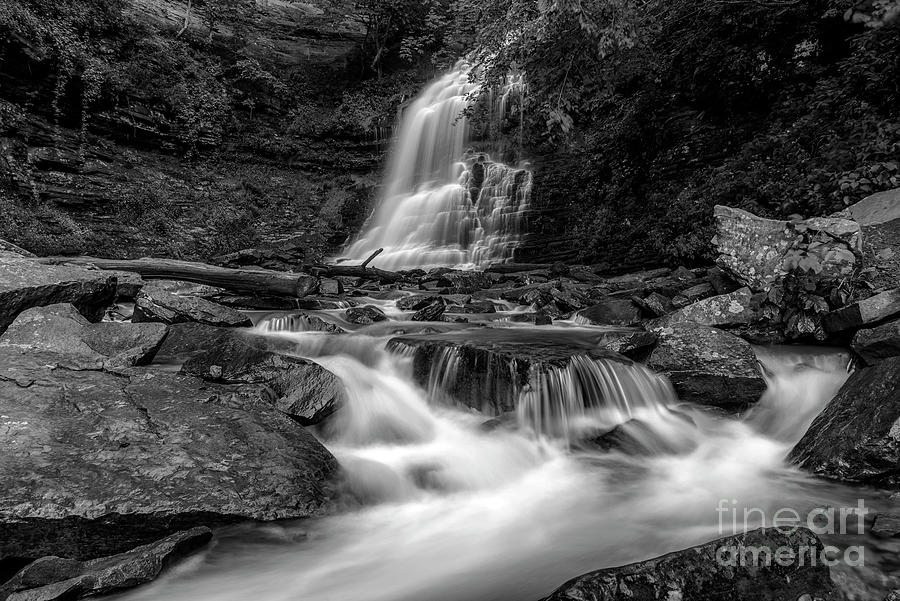 Cathedral Falls In Black And White Photograph