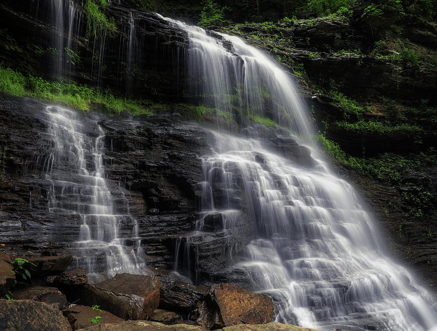 Nature Photograph - Cathedral Falls West Virginia by Dan Sproul