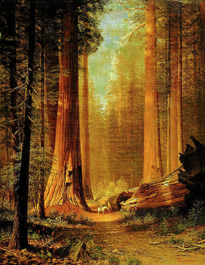 Cathedral Forest Painting by Eric Glaser