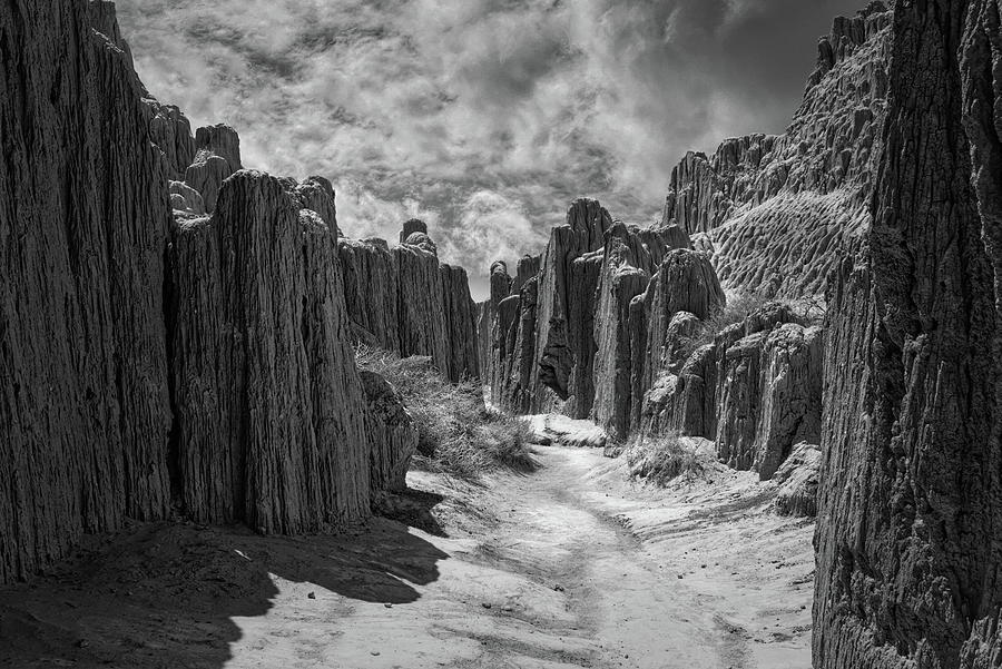 Cathedral Gorge 7125 Photograph