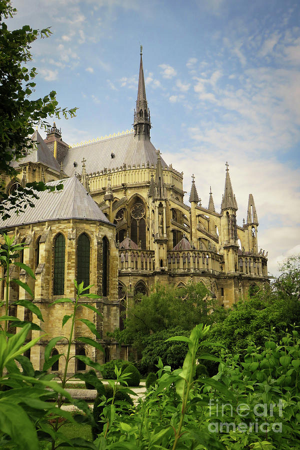 Cathedral In  Reims Photograph