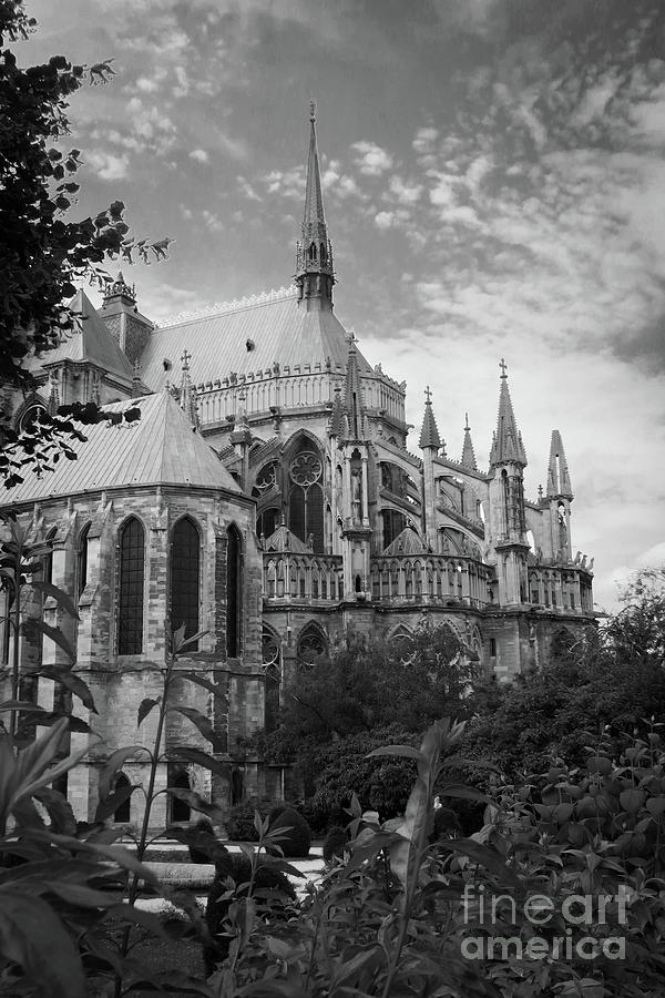 Cathedral In Reims In Monochrome Photograph
