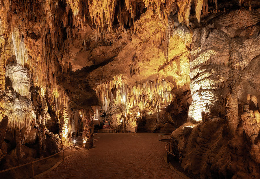 Cathedral - Luray Caverns Photograph by Susan Rissi Tregoning
