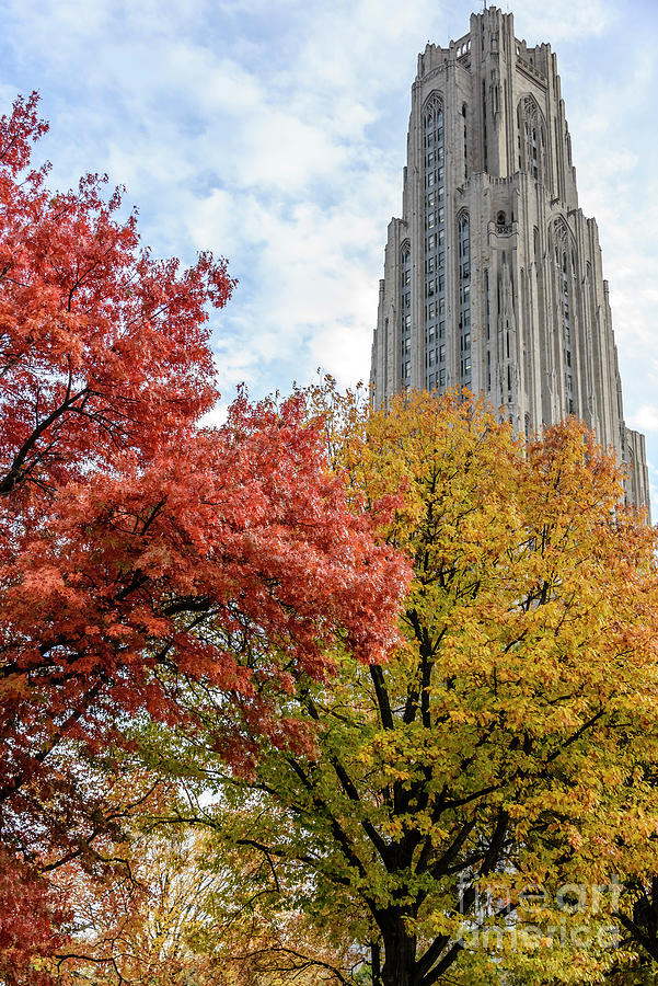Cathedral Of Learning With Autumn Trees Photograph