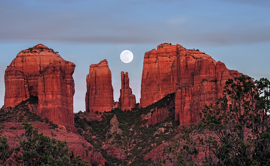 Cathedral of the Moon Photograph by Loree Johnson