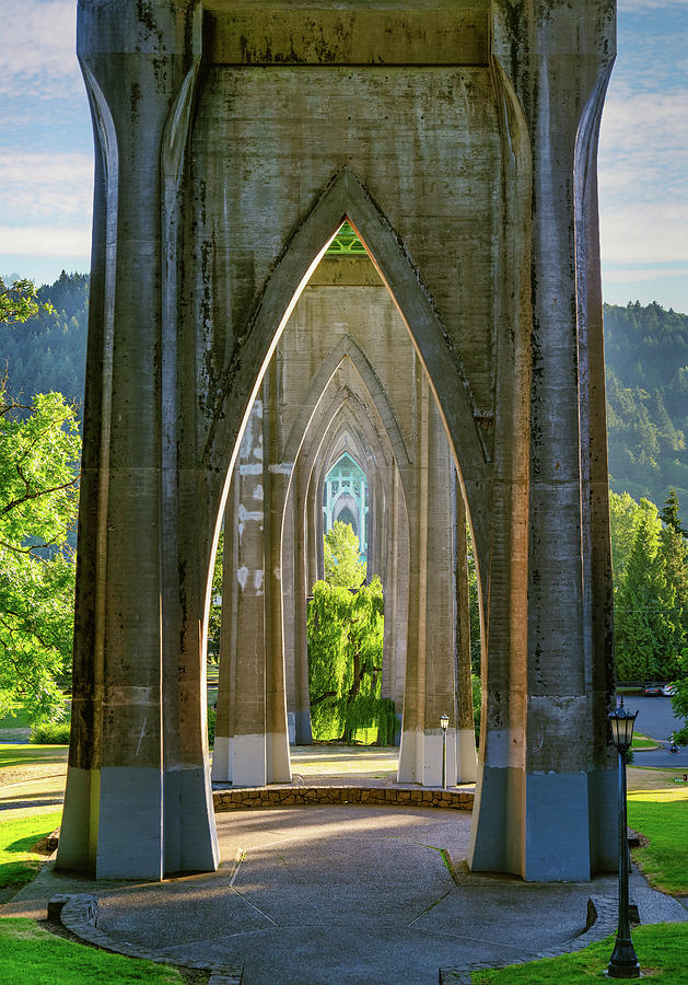 Cathedral Park Photograph by John Wilbur Cathedral Park Photograph by John Wilbur