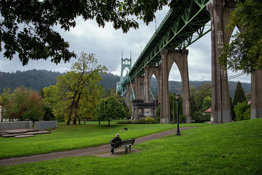 Cathedral Park Photograph by Steven Clark