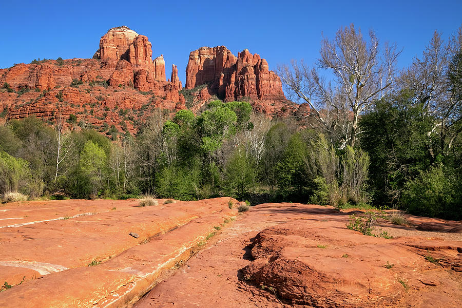 Cathedral Rock from Crescent Moon Ranch Trail Photograph by Carolyn ...