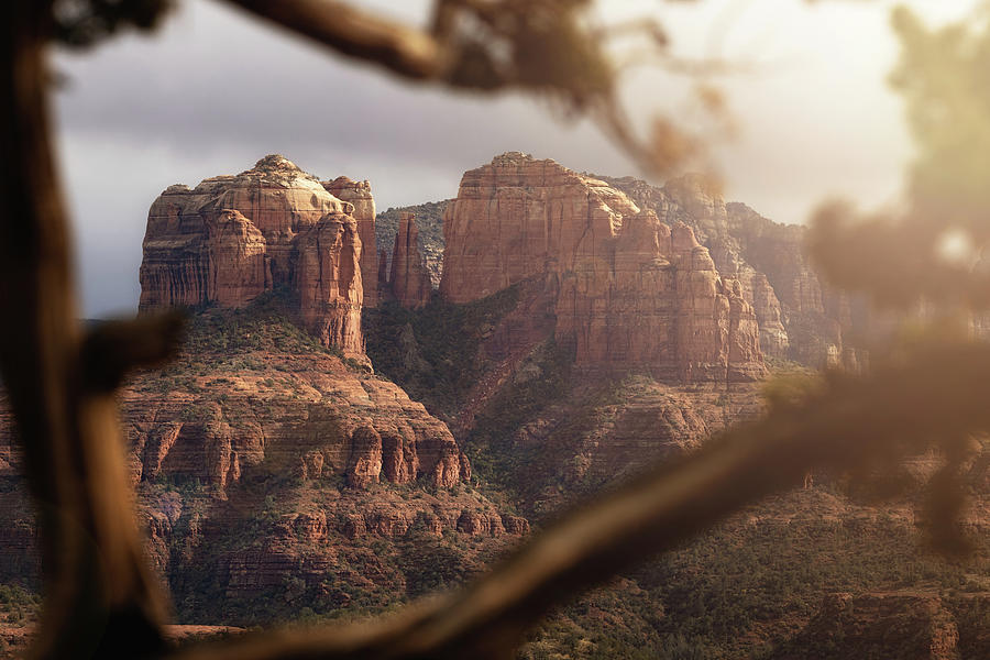 Nature Photograph - Cathedral Rock in Sedona Arizona by Good Focused