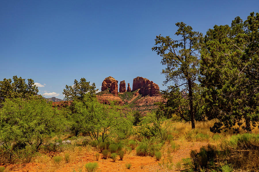 Cathedral Rock Photograph