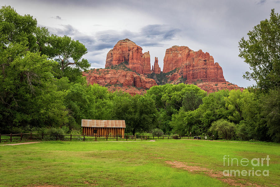 Cathedral Rock Photograph by Mimi Ditchie