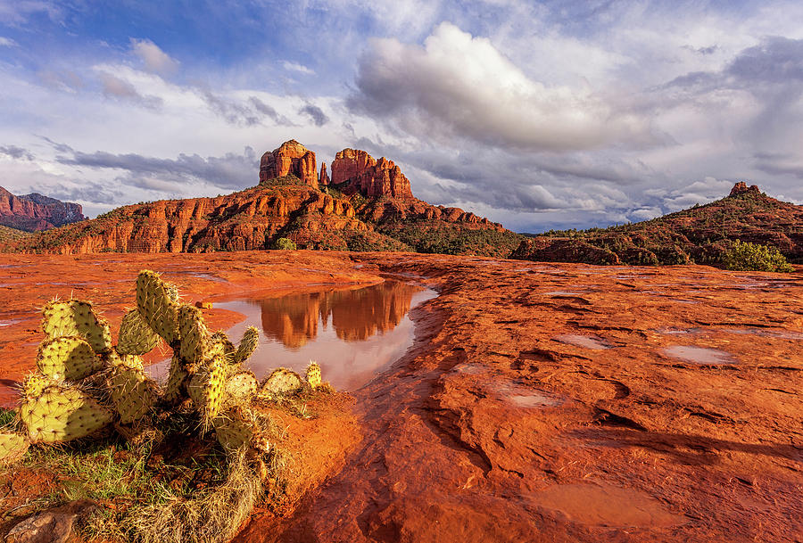 Cathedral Rock Reflections Photograph