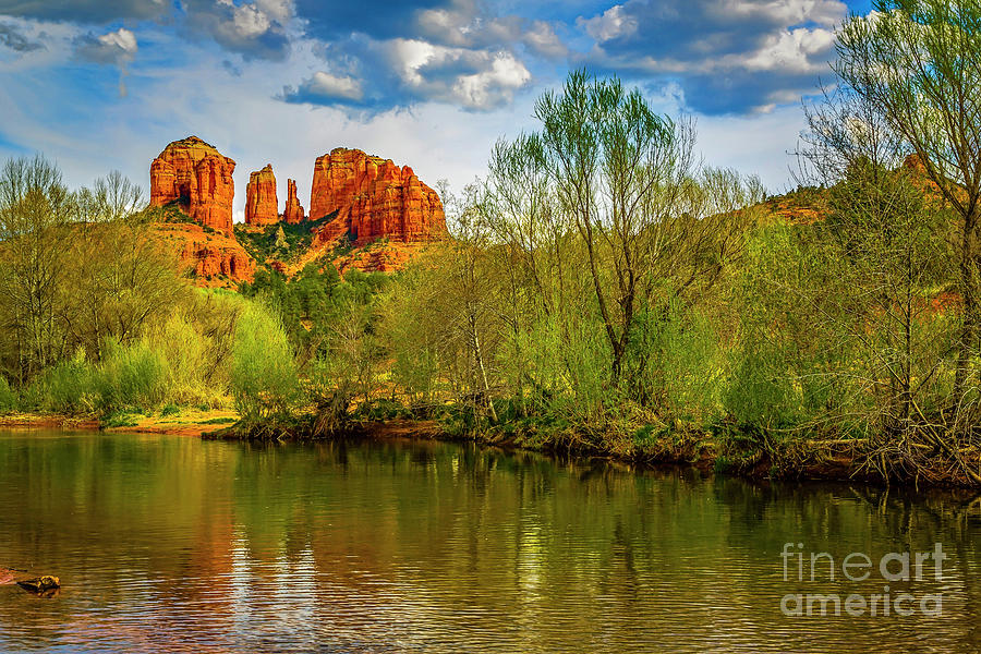 Cathedral Rock Spring Photograph by Jon Burch Photography
