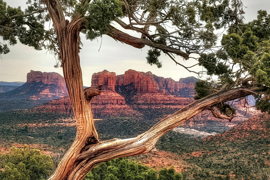 Mountain Photograph - Cathedral Rock View by Donna Kennedy
