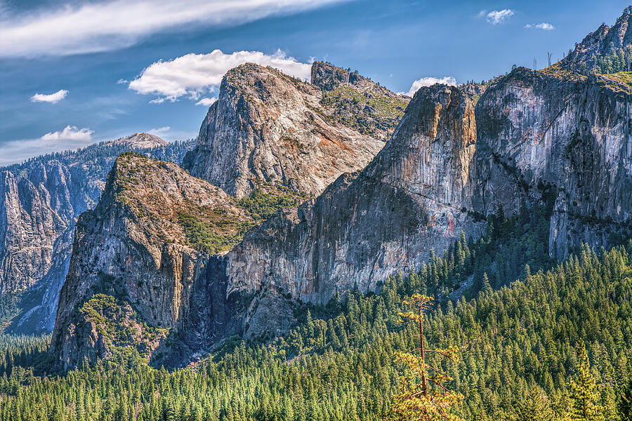 Cathedral Rocks Yosemite Photograph by John M Bailey