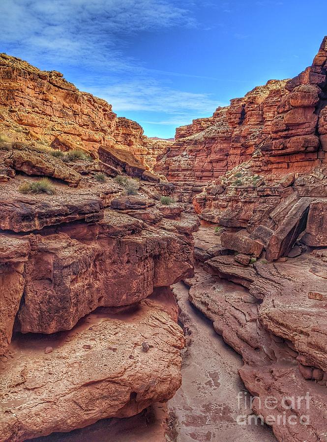 Cathedral Wash -  Glen Canyon National Recreation Area Photograph