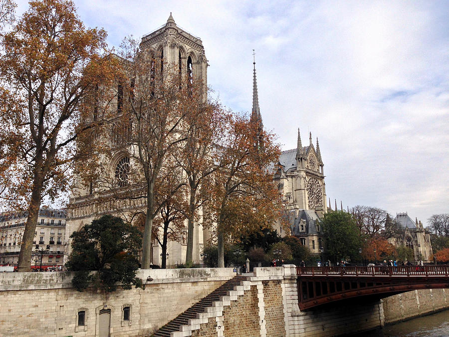 Cathedrale Notre Dame de Paris in Autumn Photograph by Life Makes Art
