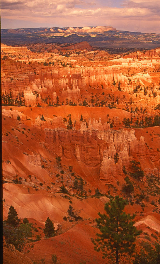Cathedrals Of Bryce Canyon National Park Photograph