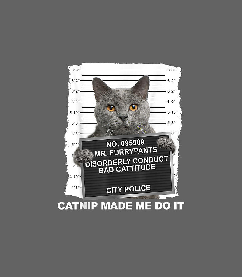 Catnip Made Me Do It Funny Cat Digital Art by Jarret Fraya - Fine Art ...