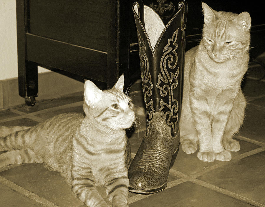 Cats and boot sepia Photograph by Joy Collins Cats and boot sepia Photograph by Joy Collins