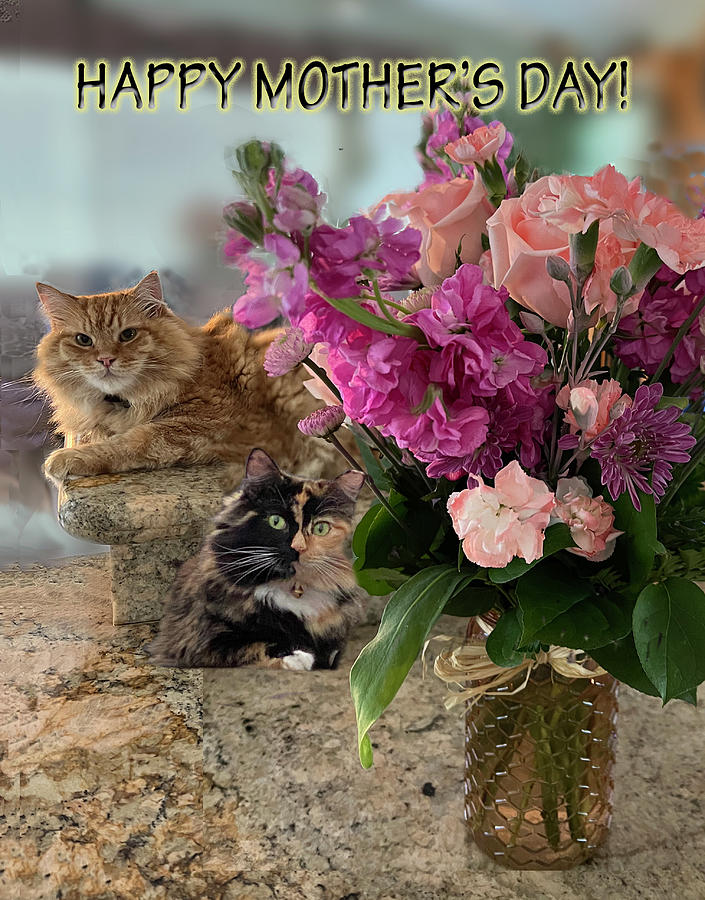 Cats and Flowers for Mothers Day Photograph by Karen Zuk Rosenblatt