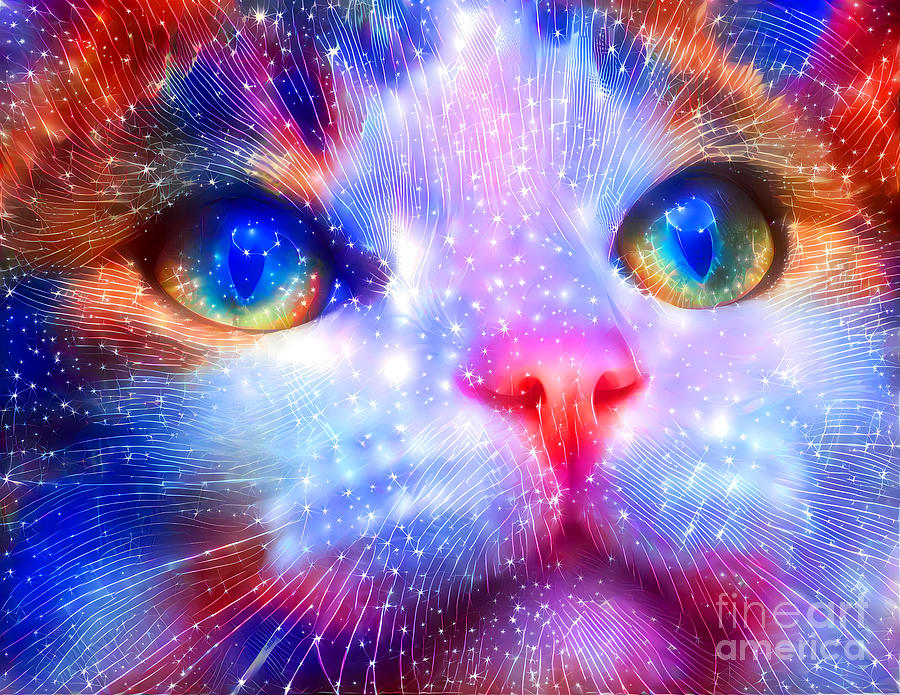 Cats and Stars Digital Art by Petr Ustyanovic - Fine Art America