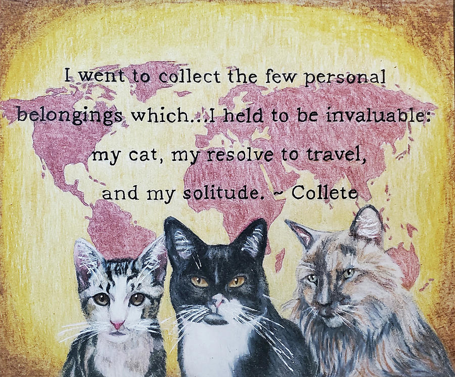 Cats and Travel Drawing by Jean Haynes