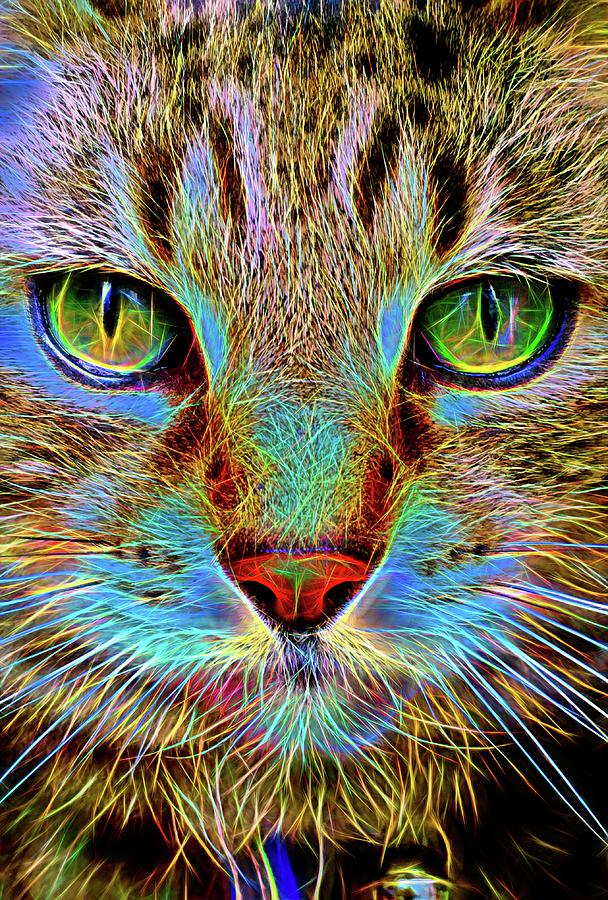 Cat's Eyes Digial Three Digital Art by Mo Barton | Fine Art America