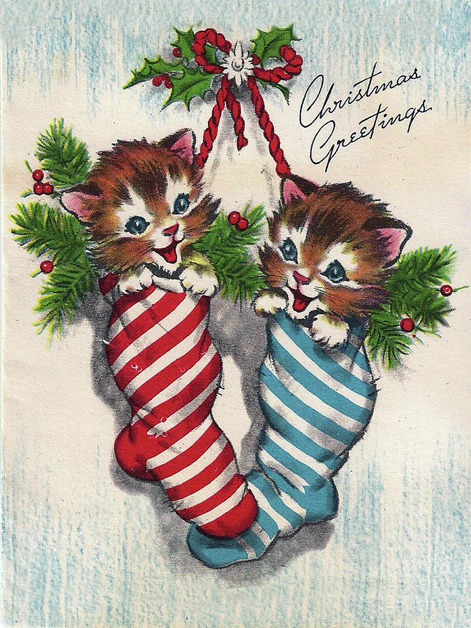 Cats in Socks as Christmas Gift Digital Art by Long Shot