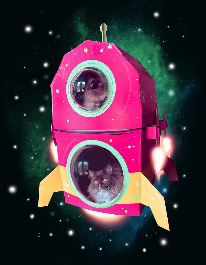 Cats In Space Drawing