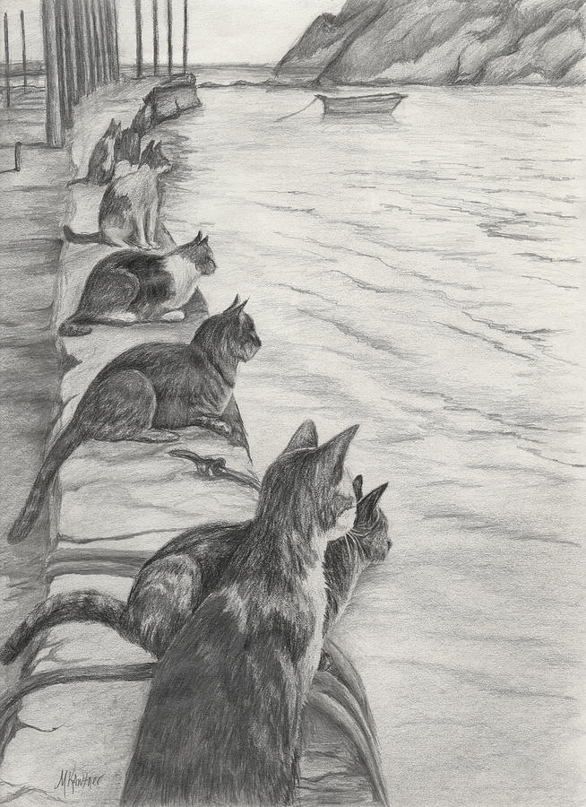 Cats Waiting For Fishermen Drawing by Melodie Kantner