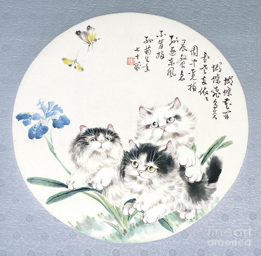 Cats With Blue Flower And Butterflies Painting by Sun Jusheng